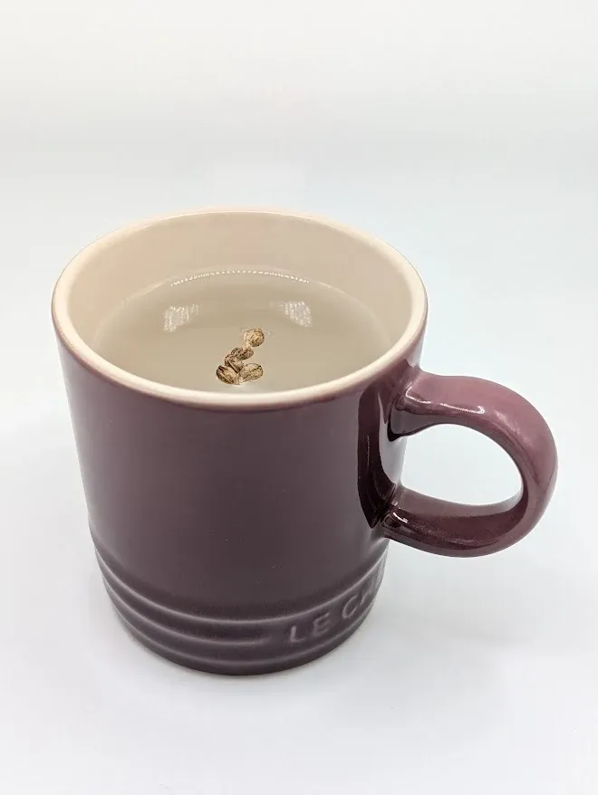 Mandarin Cookies V2 seeds soaking in water in a purple mug.