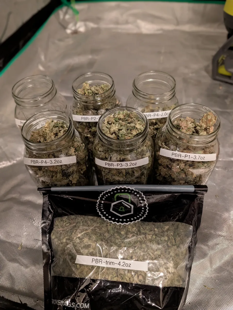 Dry and ready for cure
