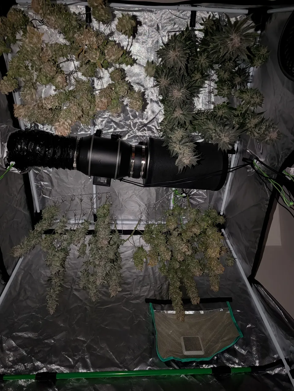 Harvest Day