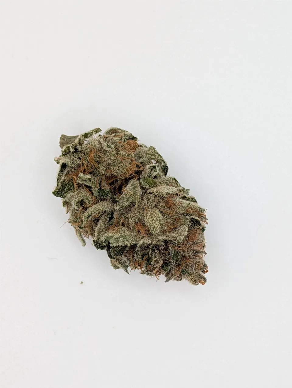Dry and ready for cure