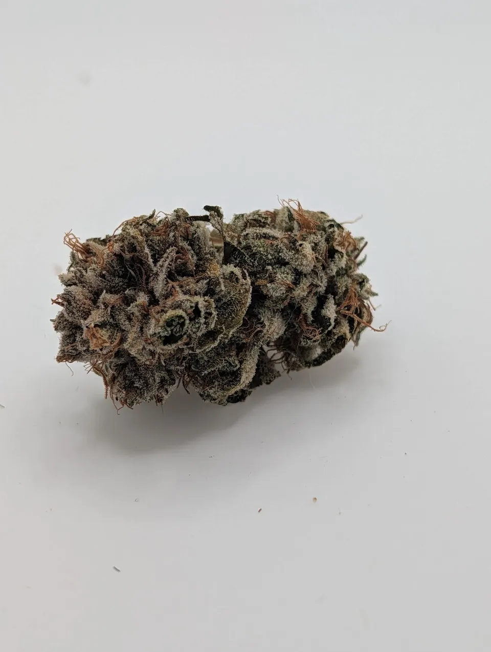 Dry - Week 1