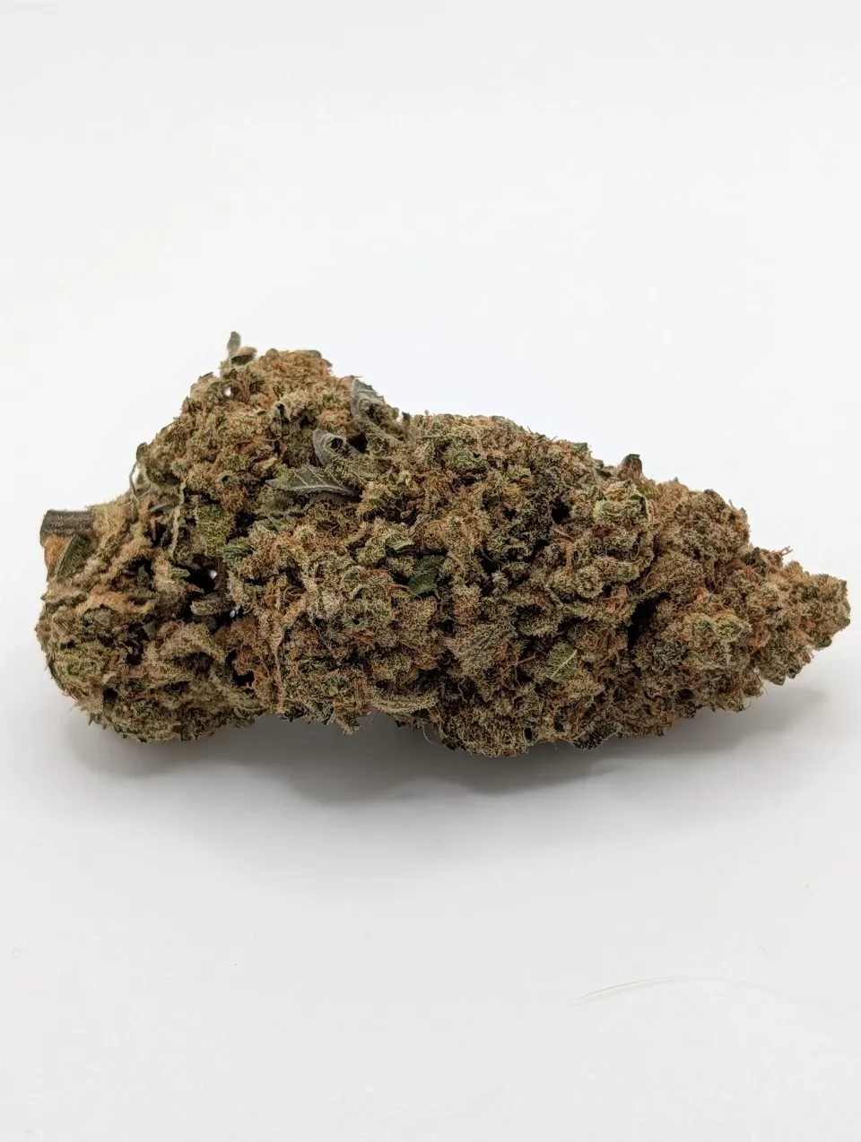 White Widow grow record