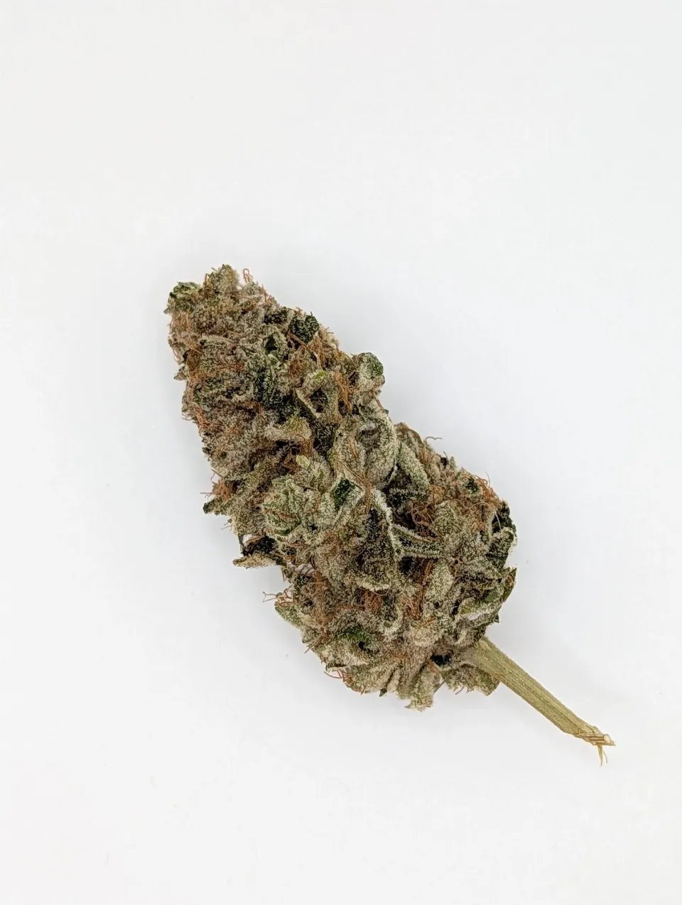 Pink Banana Runtz grow record