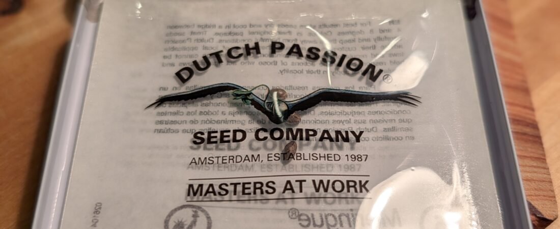 Day Zero – Germination