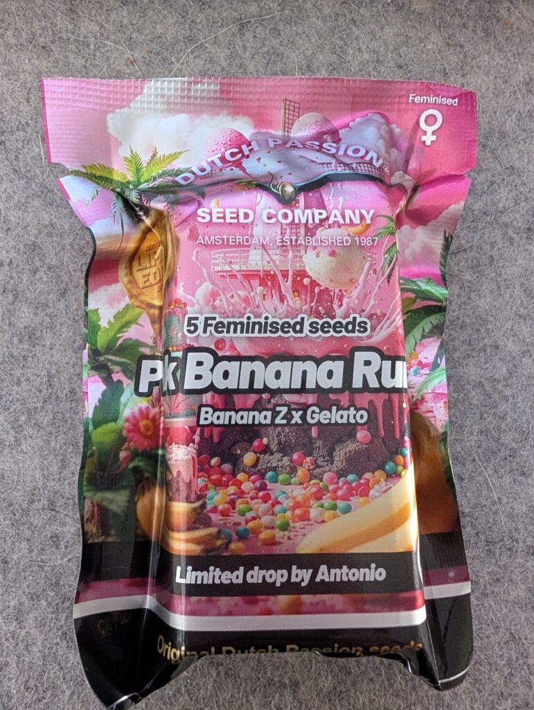 Pink Banana Runtz cannabis plant in grow tent — 2026 grow journal