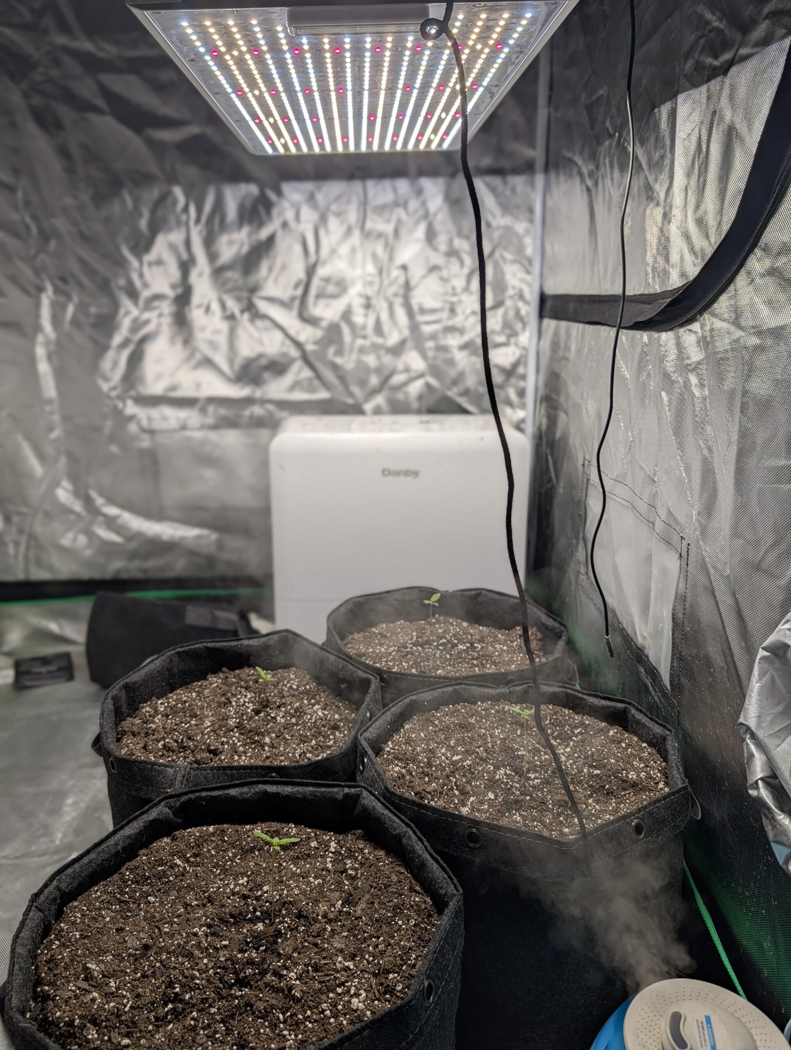 Post-Transplant Update