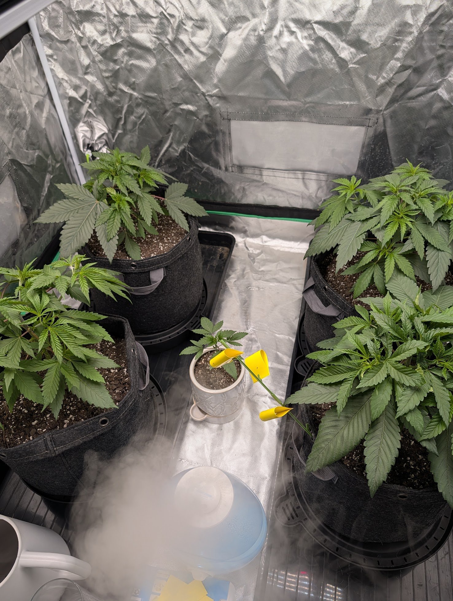 Several Updates