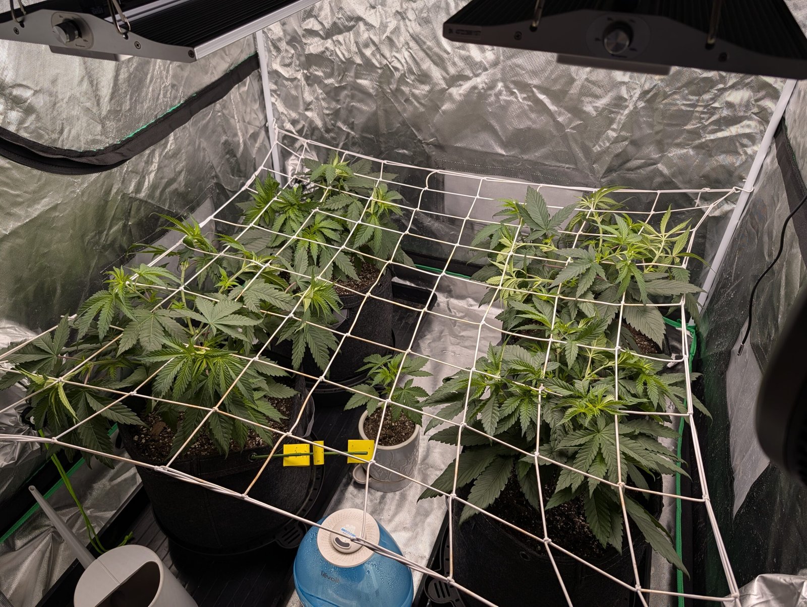 Week 6