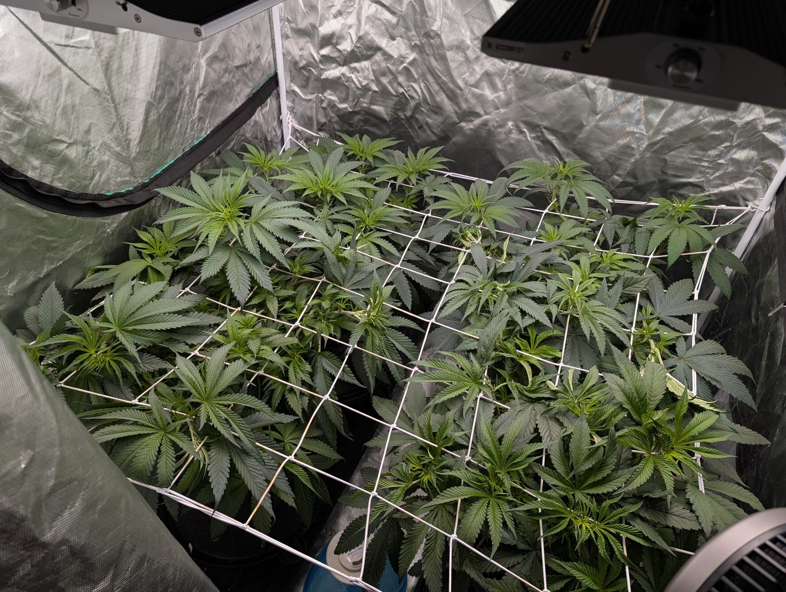 Day 1 Flip